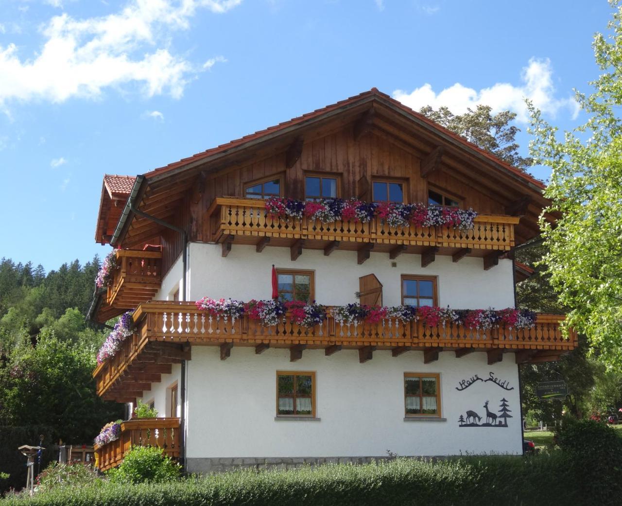 Haus Seidl Διαμέρισμα Bodenmais Εξωτερικό φωτογραφία
